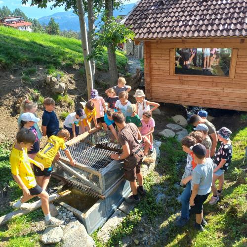 Kinder stehen vor einem Entengehege