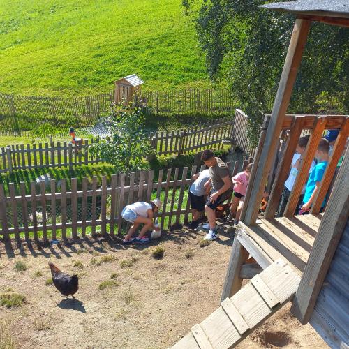 Kinder sind beim Hühnerstall