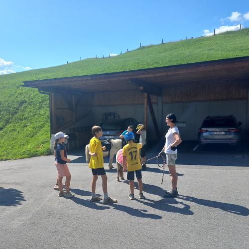 Ponyreiten - Kinder warten bis sie an der Reihe sind