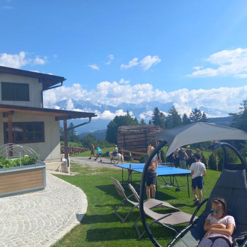 Blick auf die Wiese vor der Terrasse