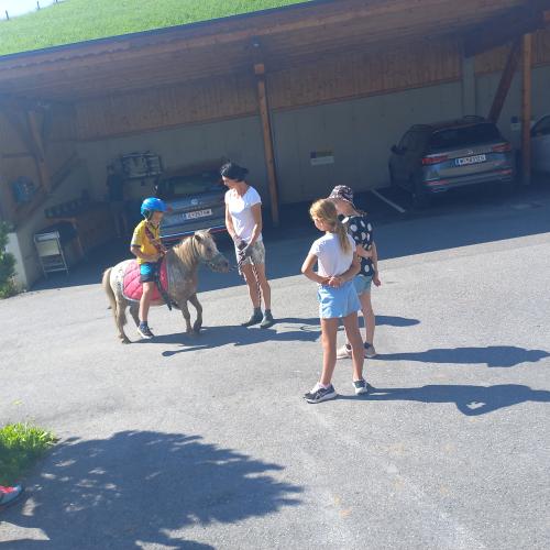 Der nächste wartet schon aufs Ponyreiten