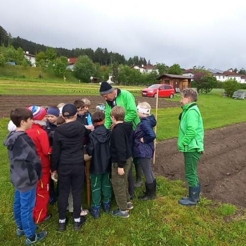 Erklärung an 3b