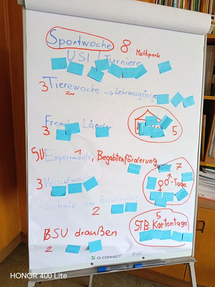 Abstimmungsergebnis nach Themenfindung